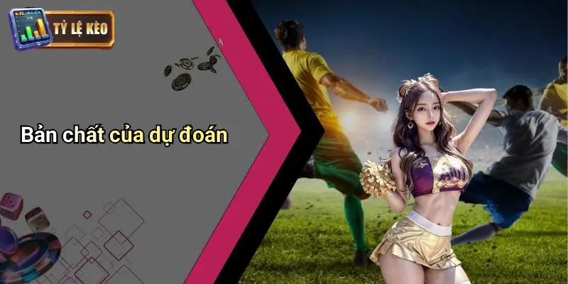 Dự đoán 1 Dự Đoán