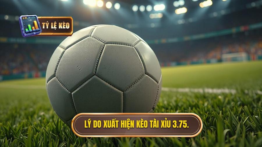 Lý do xuất hiện kèo tài xỉu 3.75.